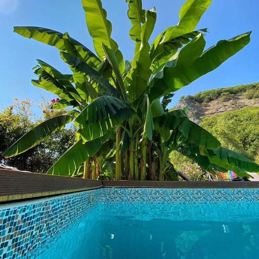 Gite L'O Bleue (Adults Only) Varces-Allieres-et-Risset Dış mekan fotoğraf